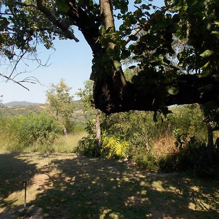 ネルスプロイト Leopard Tree Retreatヴィラ エクステリア 写真