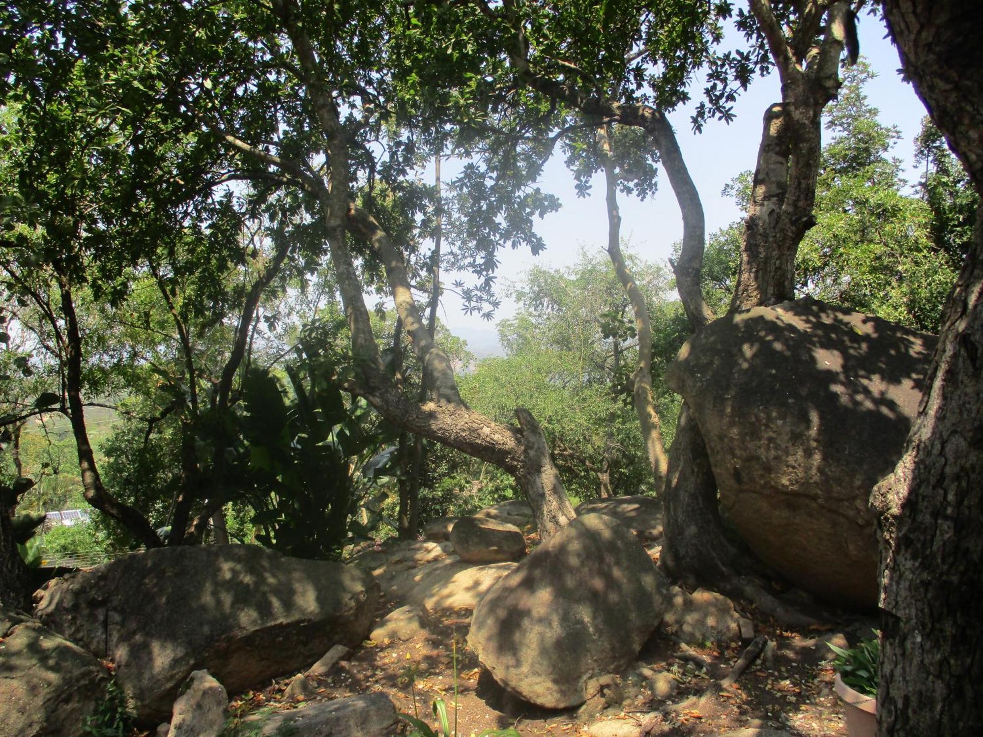 ネルスプロイト Leopard Tree Retreatヴィラ エクステリア 写真