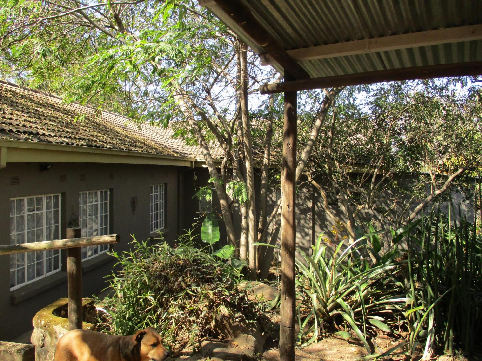 ネルスプロイト Leopard Tree Retreatヴィラ エクステリア 写真