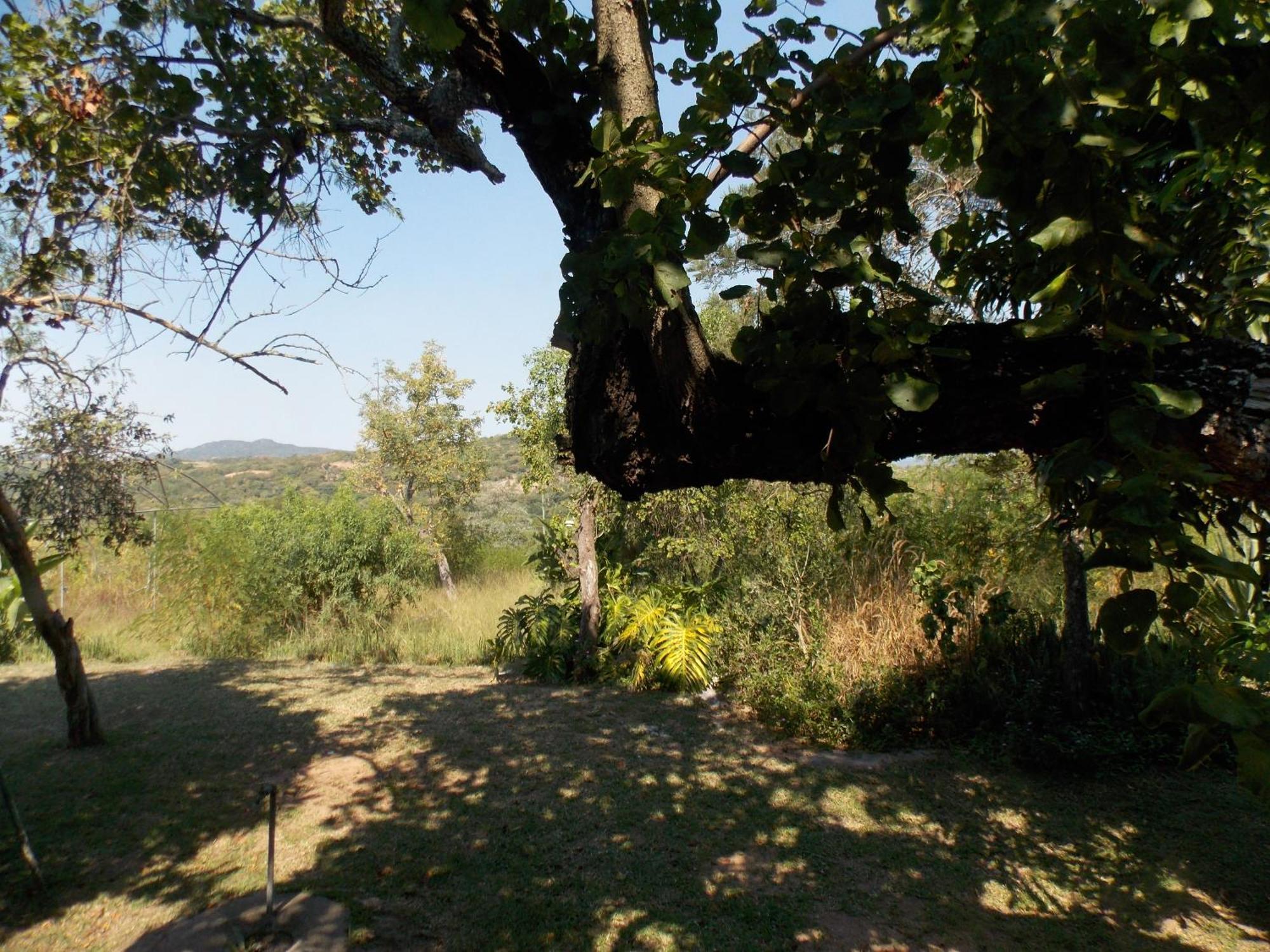 ネルスプロイト Leopard Tree Retreatヴィラ エクステリア 写真