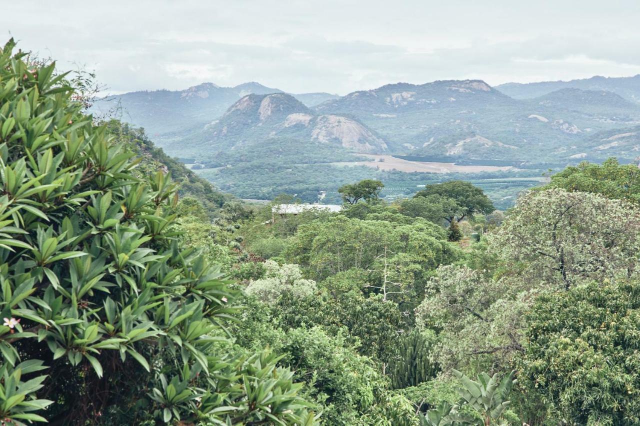 ネルスプロイト Leopard Tree Retreatヴィラ エクステリア 写真