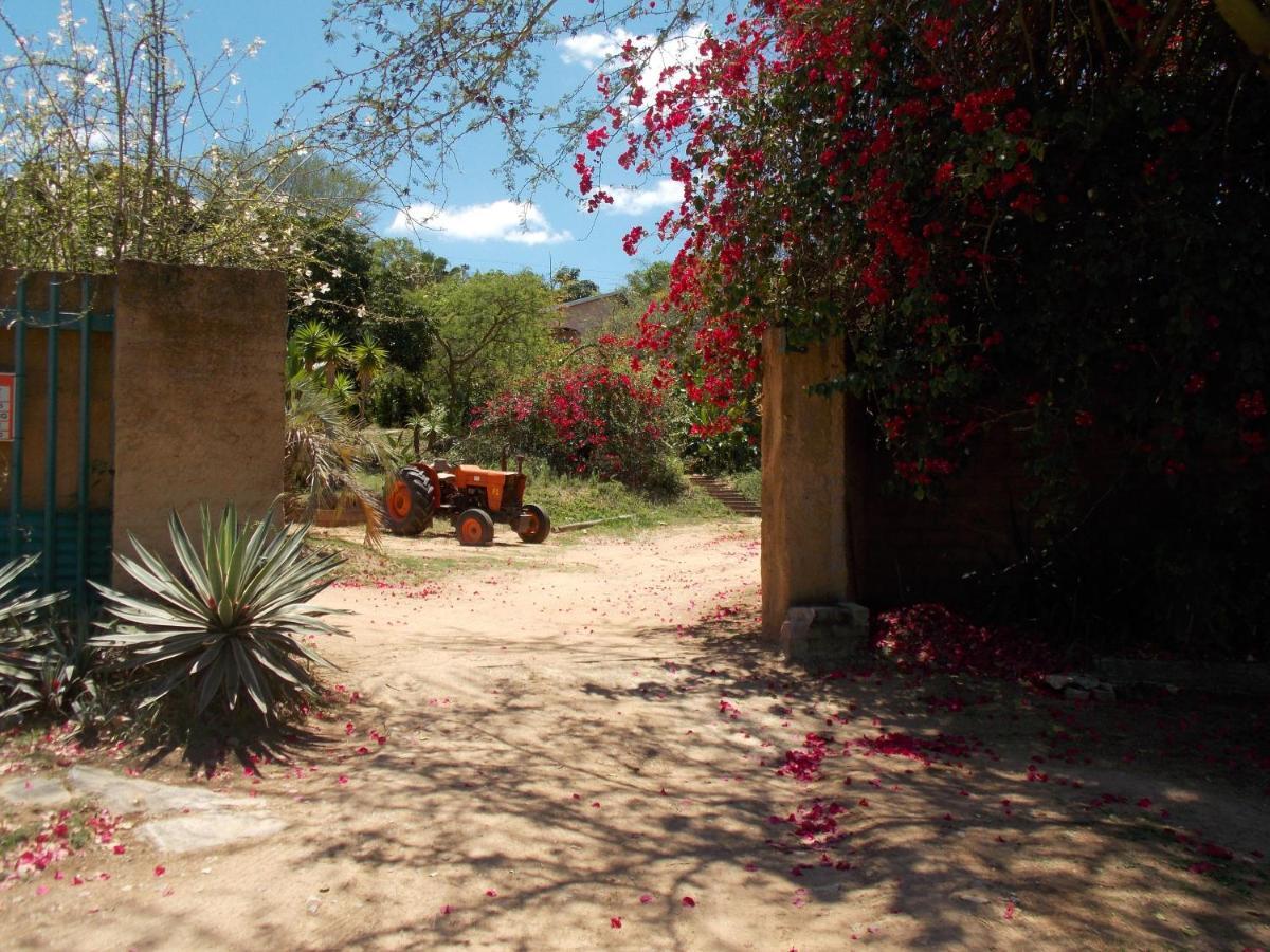 ネルスプロイト Leopard Tree Retreatヴィラ エクステリア 写真